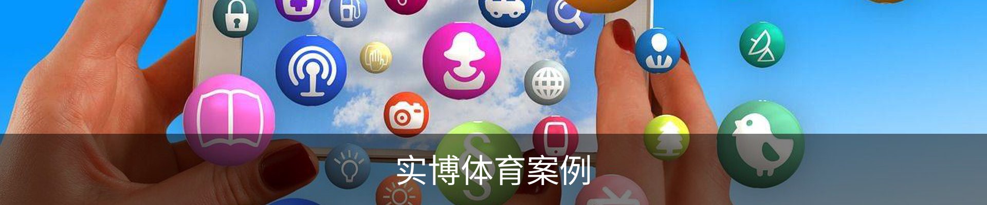 实博体育案例